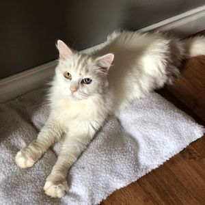 Meet your Posher, Jackie